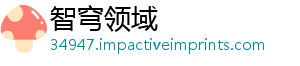 智穹领域